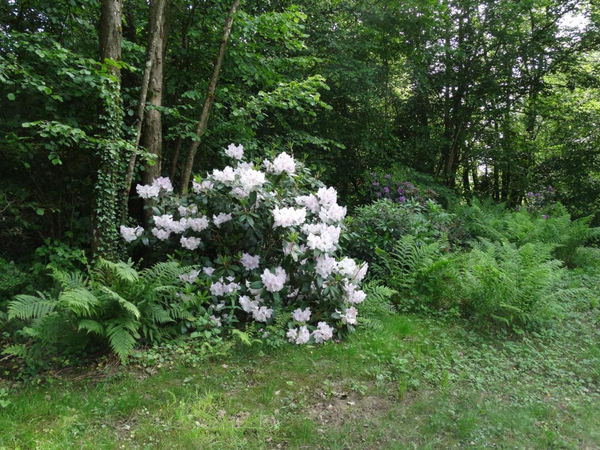 Chalets Du Pontot Le Fay Eksteriør billede